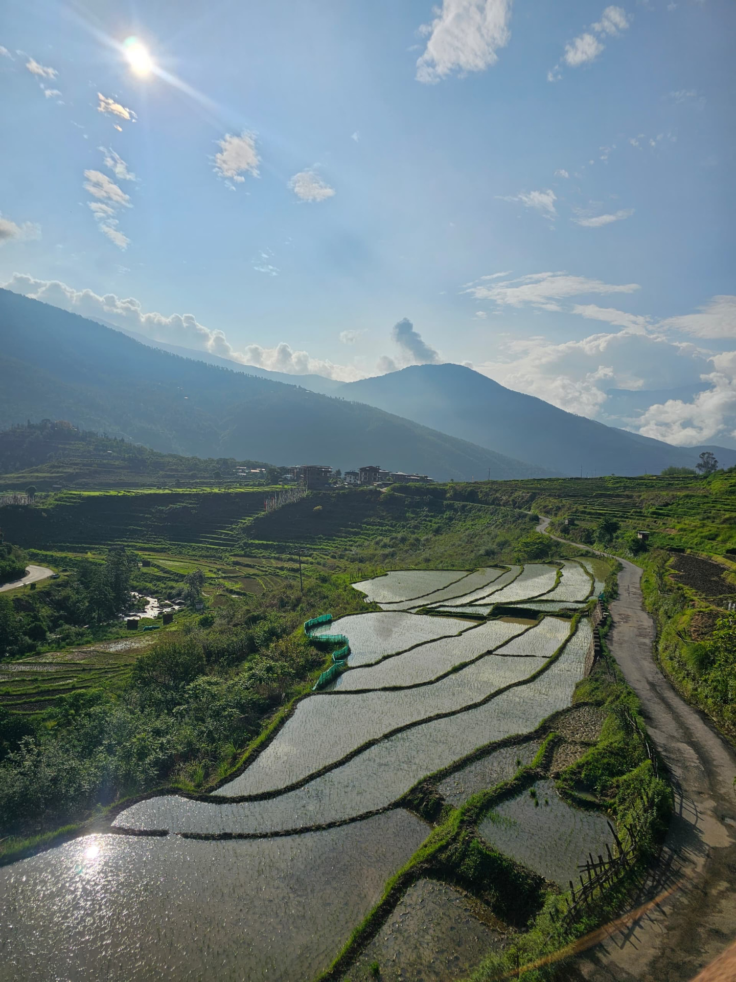 Sunlight over terraced rice fields in a rural Bhutanese mountain valley